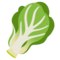Leafy Green emoji on Google